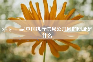 新沂中国执行信息公开网的网址是什么