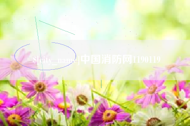 新沂中国消防网1190119