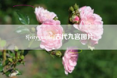 新沂古代九宫图片