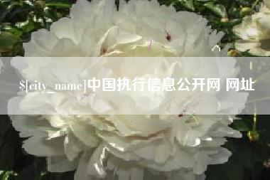 新沂中国执行信息公开网 网址