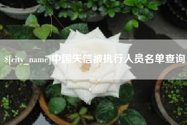 新沂中国失信被执行人员名单查询