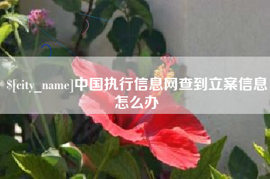 新沂中国执行信息网查到立案信息怎么办