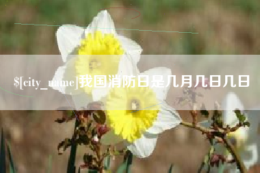 新沂我国消防日是几月几日几日