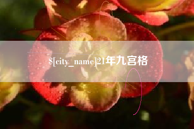 新沂21年九宫格
