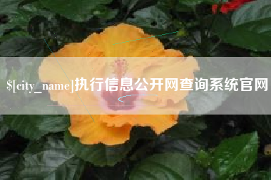 新沂执行信息公开网查询系统官网