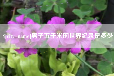 新沂男子五千米的世界纪录是多少