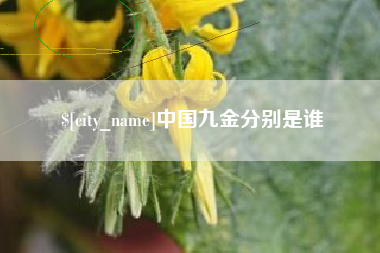 新沂中国九金分别是谁