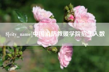 新沂中国消防救援学院招生人数