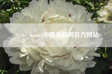 新沂中国消防网官方网站