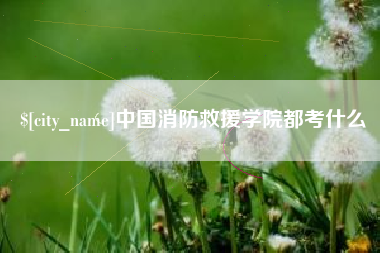 新沂中国消防救援学院都考什么