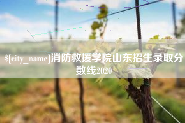 新沂消防救援学院山东招生录取分数线2020