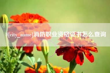 新沂消防职业资格证书怎么查询