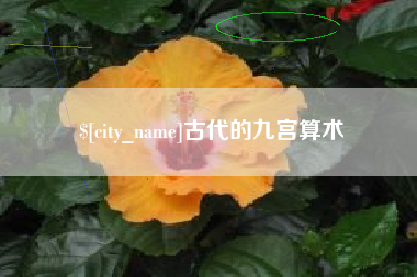 新沂古代的九宫算术