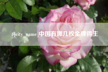 新沂中国有哪几枚金牌得主