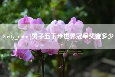 新沂男子五千米世界冠军奖金多少