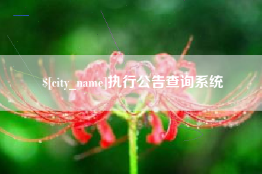 新沂执行公告查询系统
