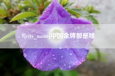 新沂中国金牌都是啥