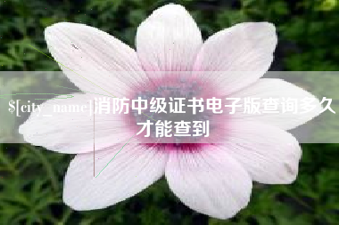 新沂消防中级证书电子版查询多久才能查到