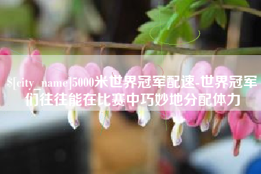 新沂5000米世界冠军配速-世界冠军们往往能在比赛中巧妙地分配体力