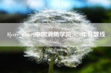 新沂中国消防学院2024年分数线