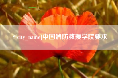 新沂中国消防救援学院要求