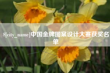 新沂中国金牌图案设计大赛获奖名单