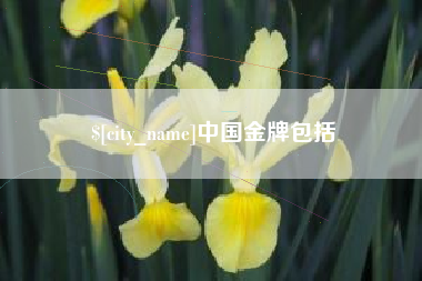 新沂中国金牌包括