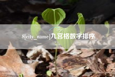 新沂九宫格数字排序