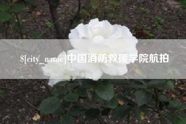 新沂中国消防救援学院航拍