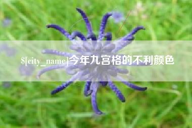 新沂今年九宫格的不利颜色