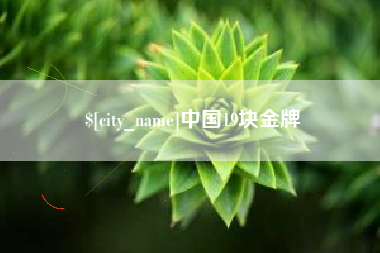 新沂中国19块金牌