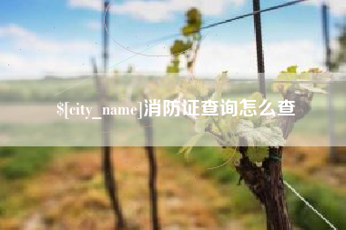 新沂消防证查询怎么查