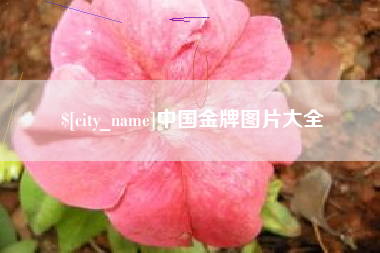 新沂中国金牌图片大全