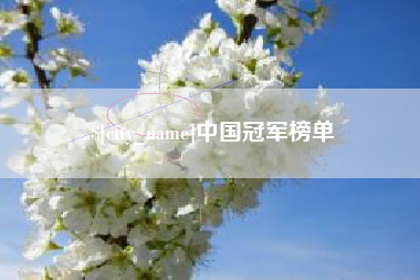 新沂中国冠军榜单