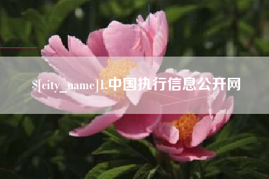 新沂1.中国执行信息公开网