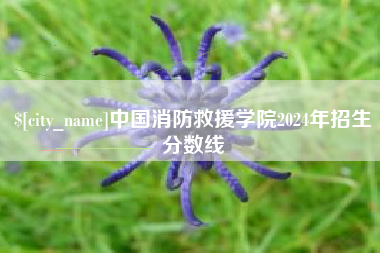 新沂中国消防救援学院2024年招生分数线