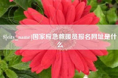 新沂国家应急救援员报名网址是什么