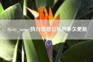 新沂执行信息公开网多久更新