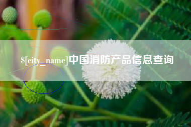 新沂中国消防产品信息查询