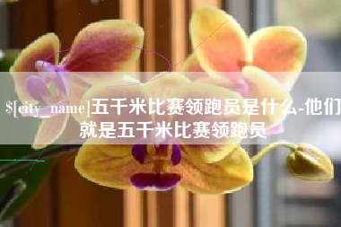 新沂五千米比赛领跑员是什么-他们就是五千米比赛领跑员