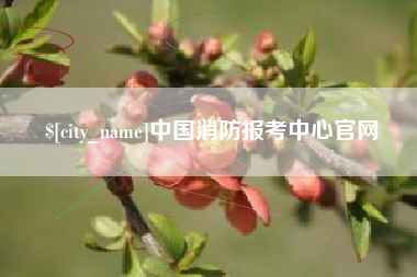 新沂中国消防报考中心官网