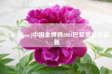 新沂中国金牌榜2024巴黎奥运会最新
