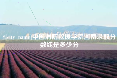 新沂中国消防救援学院河南录取分数线是多少分
