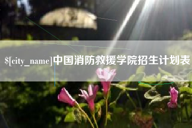 新沂中国消防救援学院招生计划表
