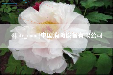新沂中国消防设备有限公司