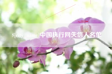 新沂中国执行网失信人名单