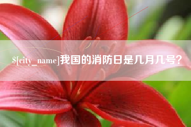 新沂我国的消防日是几月几号？