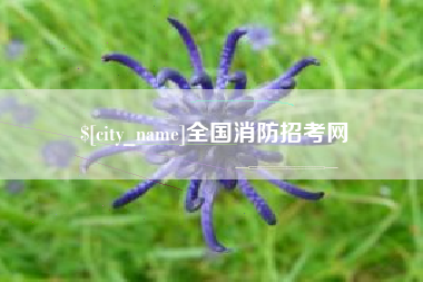 新沂全国消防招考网
