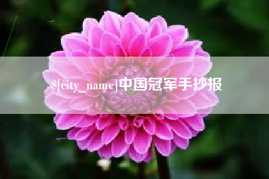 新沂中国冠军手抄报