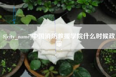 新沂中国消防救援学院什么时候政审